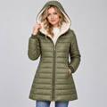 Fern Green