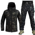 Black / Gray
