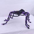 Purple Black