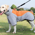 Grey Orange