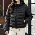 Zhuoshi Black