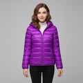 Hooded Purple