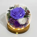 Violet Rose