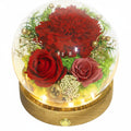 Red Rose 1