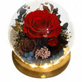 Red Rose 2