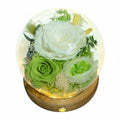 White Rose