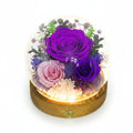 Dark Purple Rose
